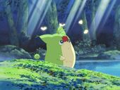 アスカコーポレーションCM「森のココロコロ」