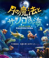 月の魔法とサンゴの海 ～カルオカ’ヒナの大冒険～