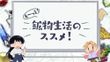 も～っと！鉱物生活のススメ！